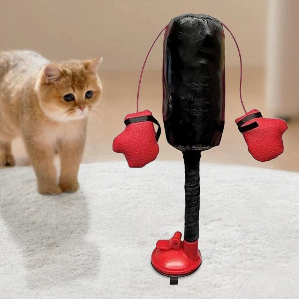 Cat Fitness Punching Play