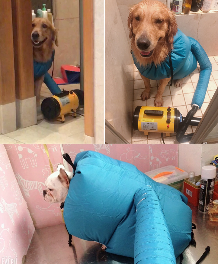 Pet Care Drying Station
