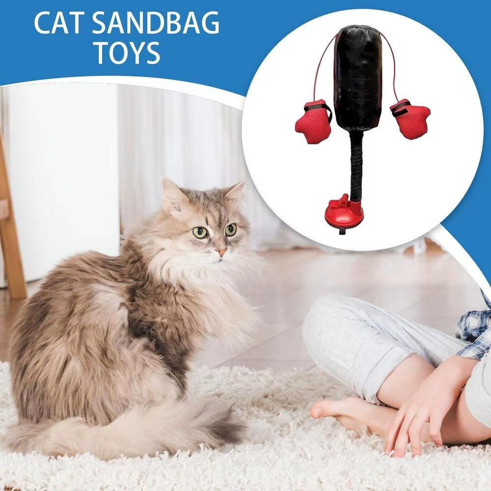 Cat Fitness Punching Play